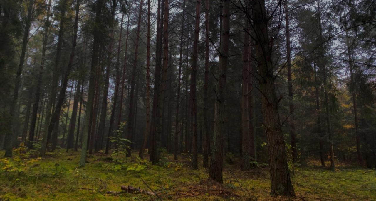 Nadmorski Dom Pod Lasem Villa Mieroszyno Exterior foto